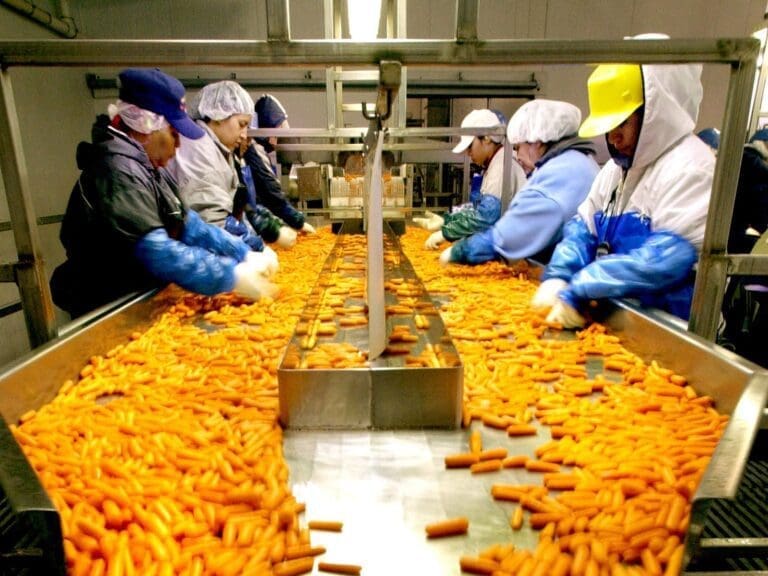 Brote de E. coli en EE. UU.: Decenas de infectados y una muerte por zanahorias contaminadas