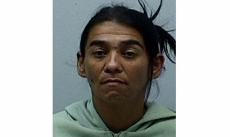 Mujer Arrestada en Utuado por Agresión y Maltrato a Menores