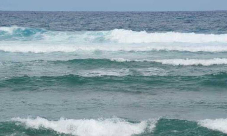 Cayuco con Cuerpos en Descomposición Encontrado en Costa de Trinidad