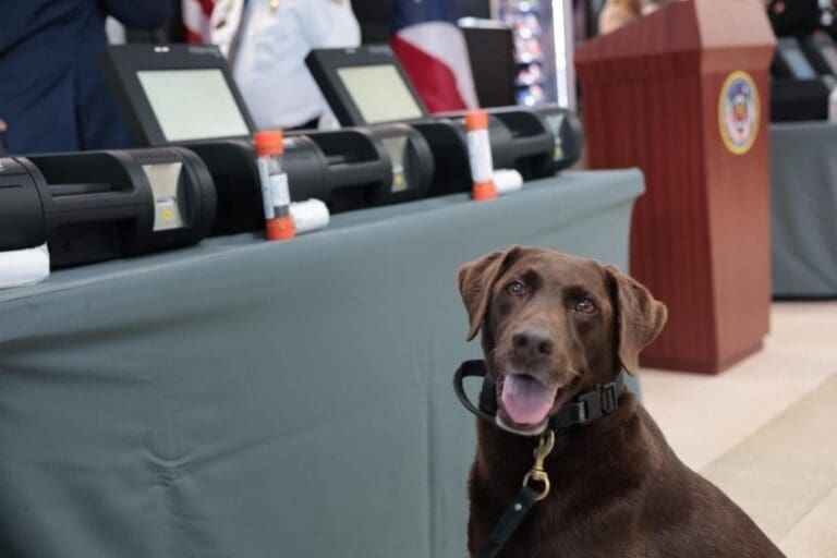 Corrección refuerza seguridad en cárceles con nueva tecnología para detectar drogas y explosivos