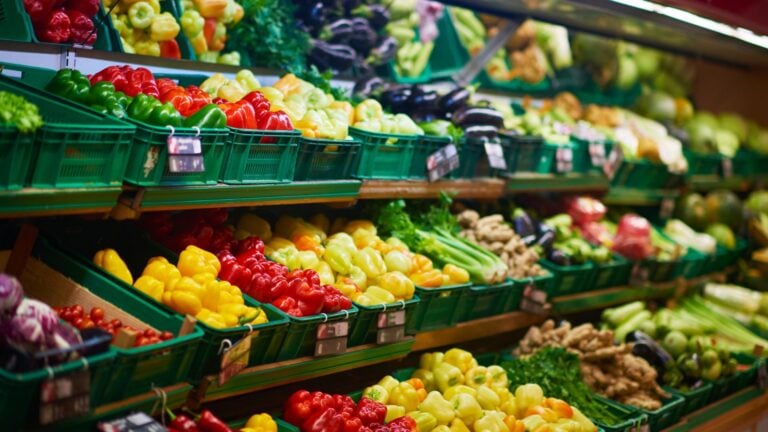 IV Conferencia Retos y Soluciones en la Industria de Alimentos