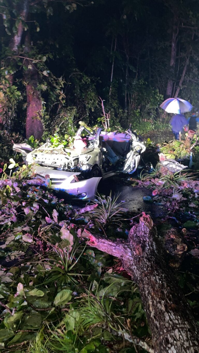 Deslizamiento de tierra en Toa Baja causa la muerte de un conductor