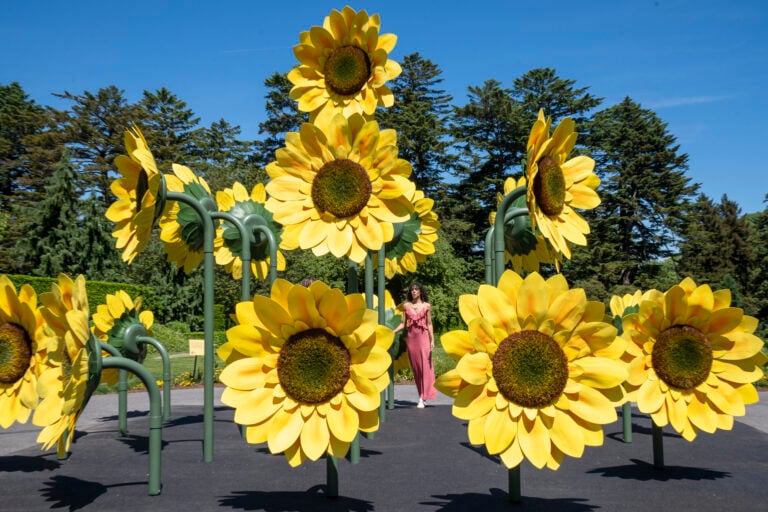 Van Gogh florece en el Bronx: Jardín Botánico inaugura exposición con 18,000 flores
