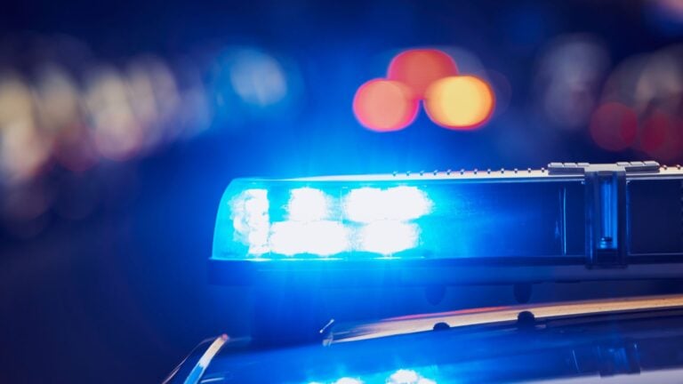 División de Drogas de Aguadilla ocupa 47 libras de marihuana y dinero en allanamiento en Aguada
