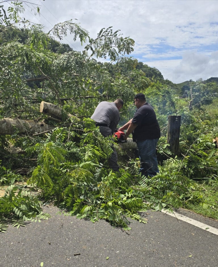 Árbol caído bloquea carretera PR-641 en Florida