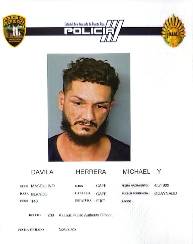 Hombre de San Juan encarcelado por agredir a policías en Añasco