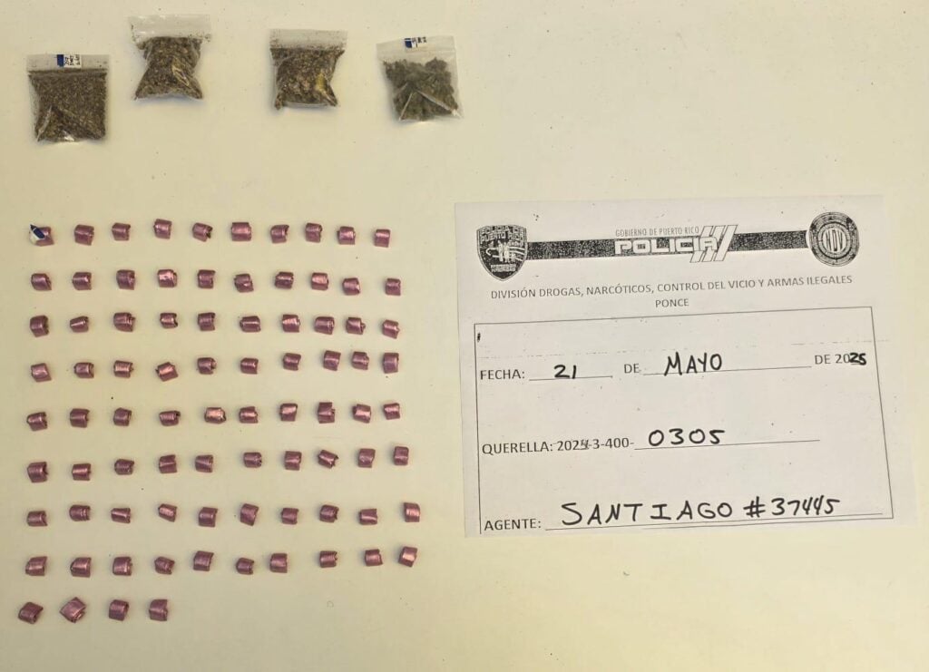 Seis arrestados y drogas ocupadas en operativos en el sur de la isla