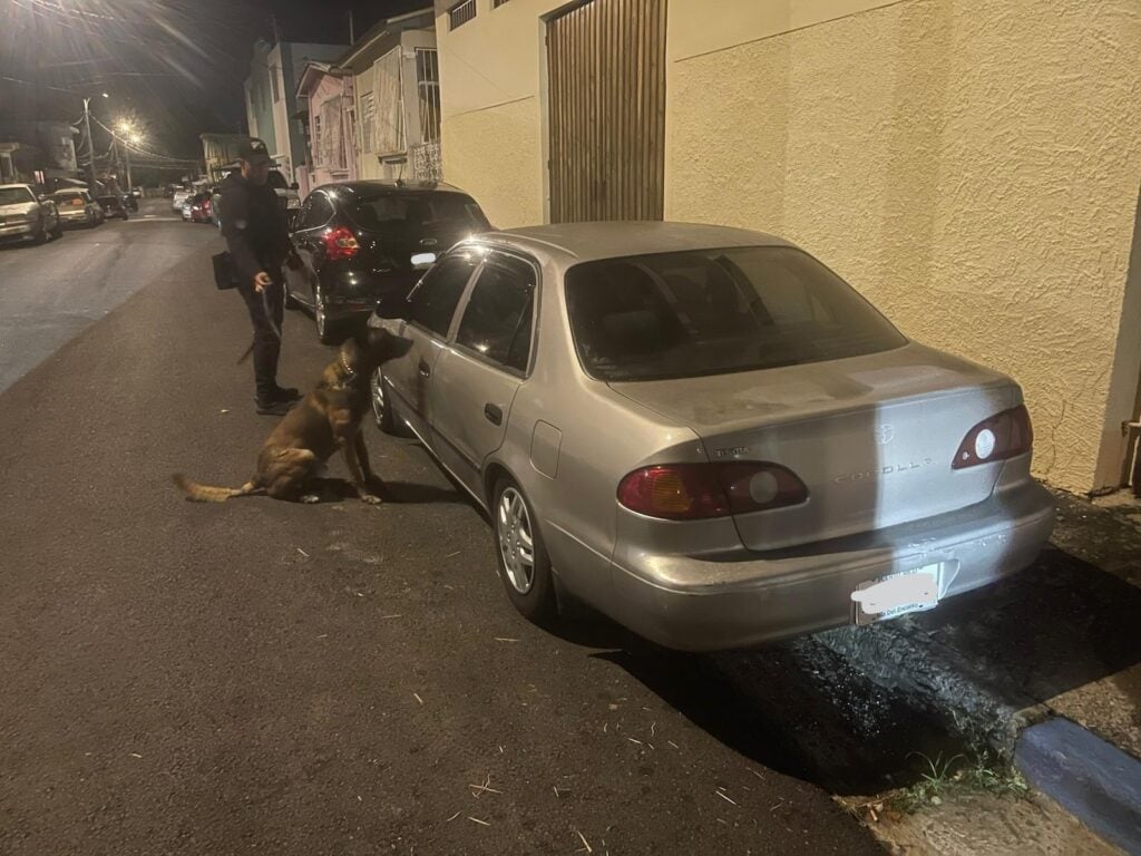 Incidente de disparos y hallazgo de armas en Mayagüez