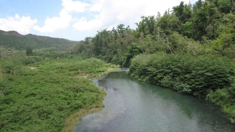 Desborde del río Manatí cierra carretera PR-2 en ambas direcciones