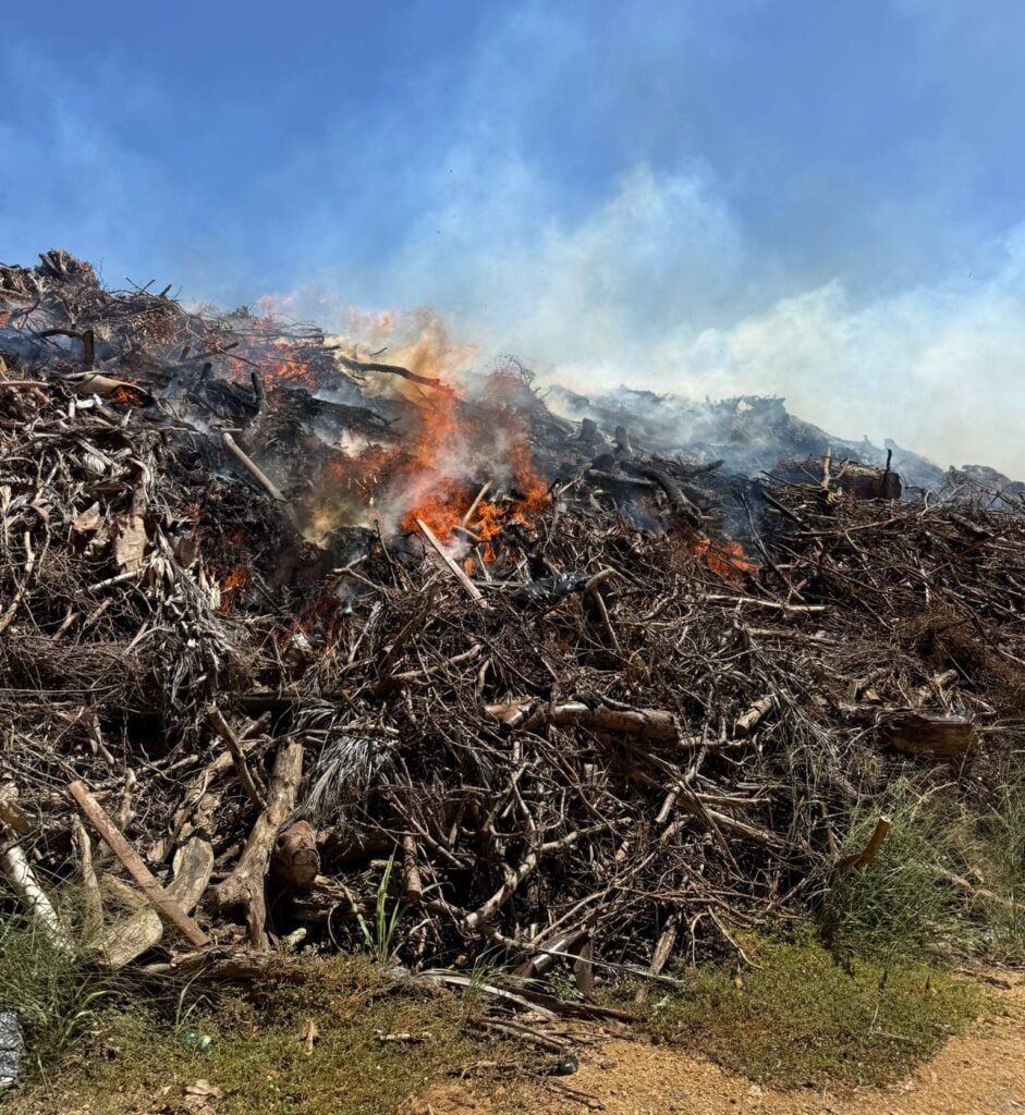 Fuego en vertedero de Cabo Rojo moviliza unidades forestales y bomberos