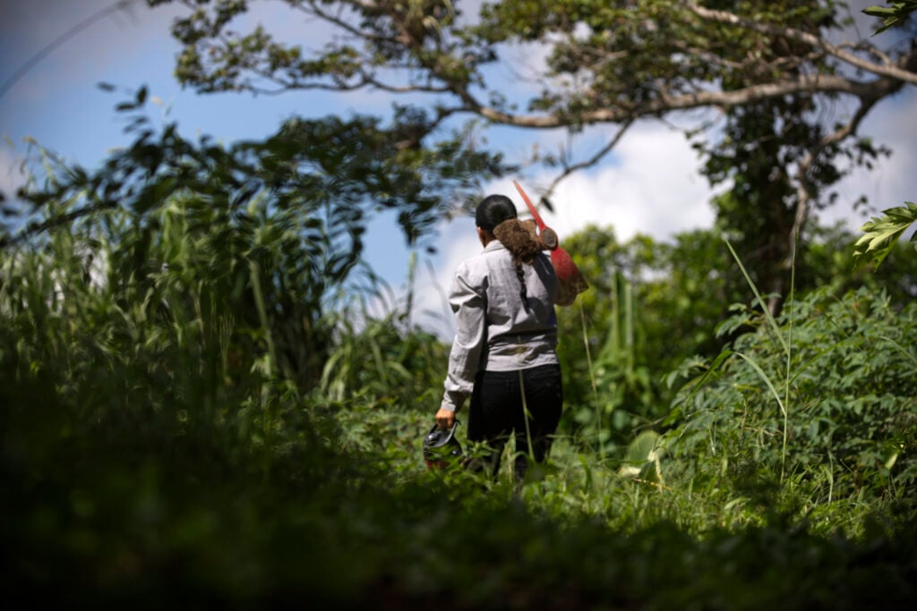 Agricultura lanza programa de préstamos de emergencia para agricultores afectados por lluvias