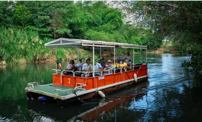 Capitán detiene lancha para salvar a ternero en el río Espíritu Santo