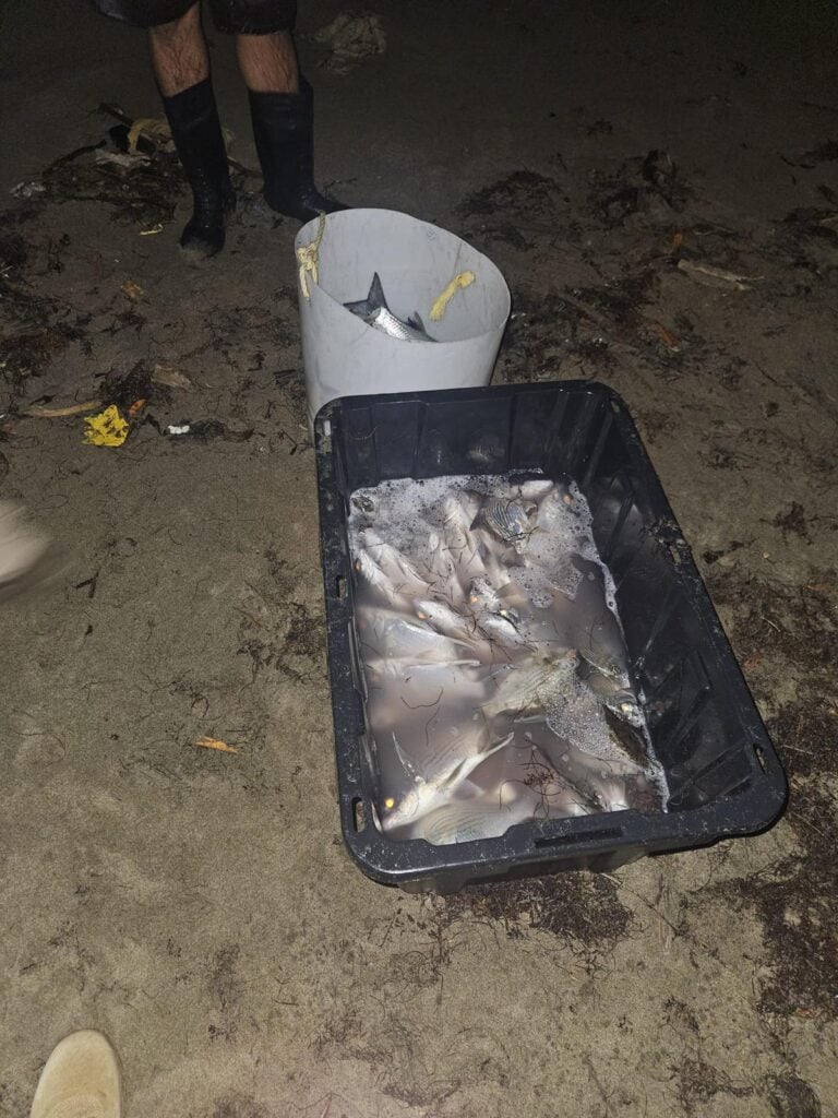 Intervienen con grupo de pescadores por pesca ilegal en el río Boca Prieto de Humacao
