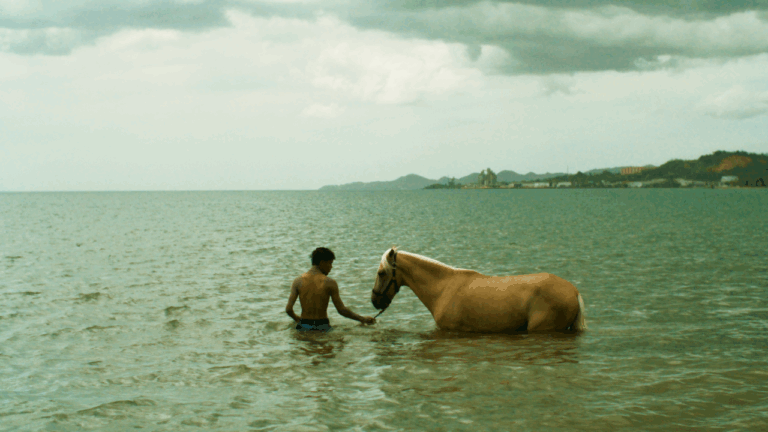 Cine latino brilla en Tribeca: «Esta isla» de Puerto Rico entre las más premiadas