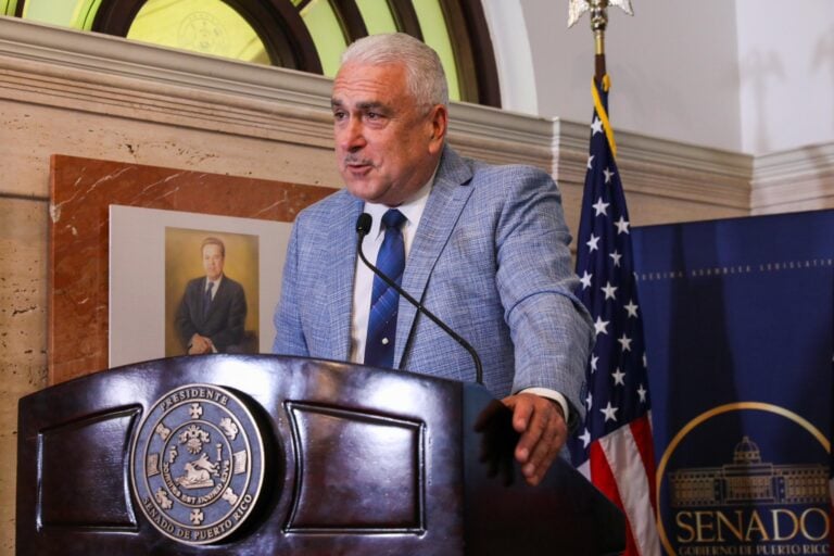 Rivera Schatz remueve a la senadora Roxana Soto Aguilú de la Comisión de lo Jurídico por baja productividad