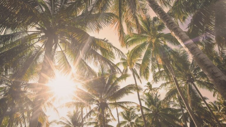 El calor no da tregua y se suman nuevas alertas