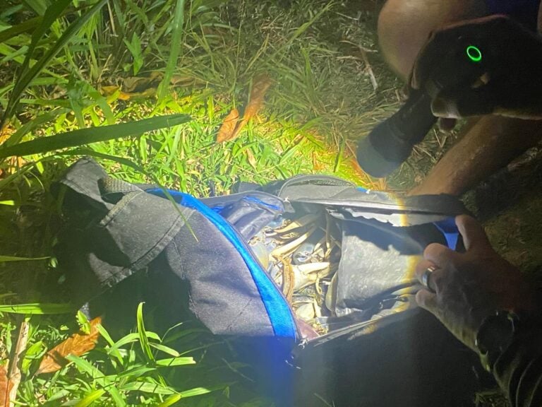 Intervienen con nueve personas por pesca ilegal de jueyes en reserva de Manatí