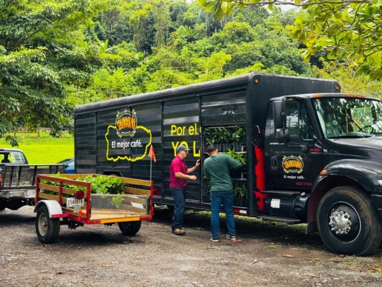 Completan entrega de 150 mil árboles para impulsar caficultura