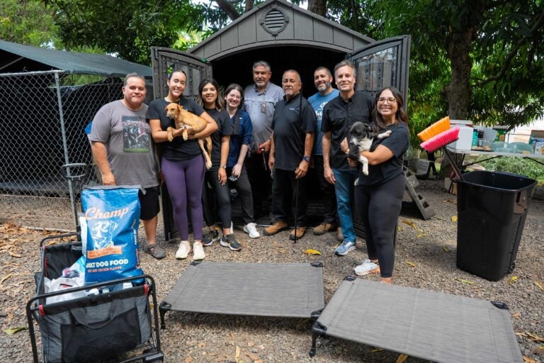 Kia reafirma su compromiso con las mascotas en Puerto Rico