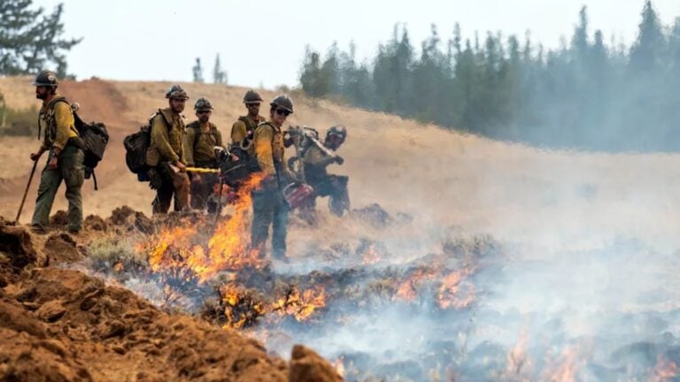 Contención del incendio en Bear Gulch se complica tras arresto de bomberos
