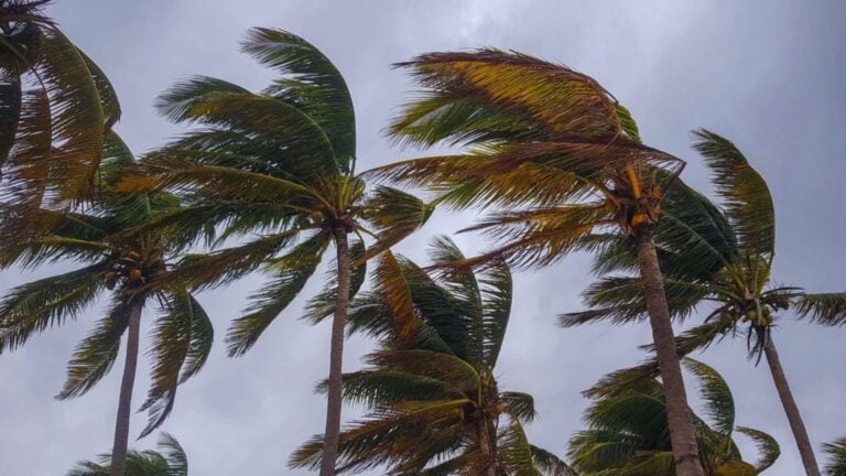 Condiciones variables por vaguada y disturbio tropical lejano