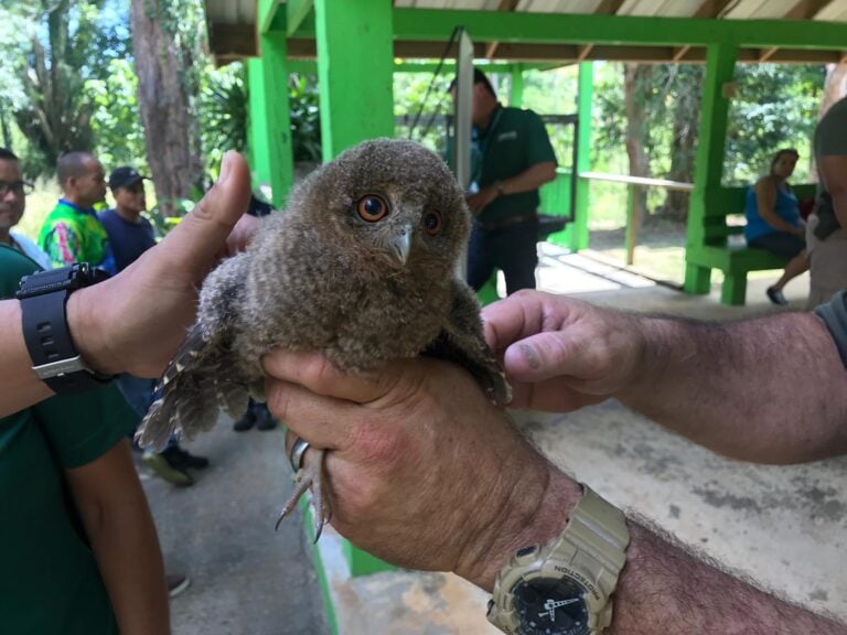 Denuncian desaparición y maltrato de especies en instalaciones del DRNA en Cambalache
