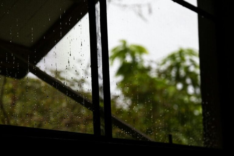 Raindrops stream down a window with greenery outside.