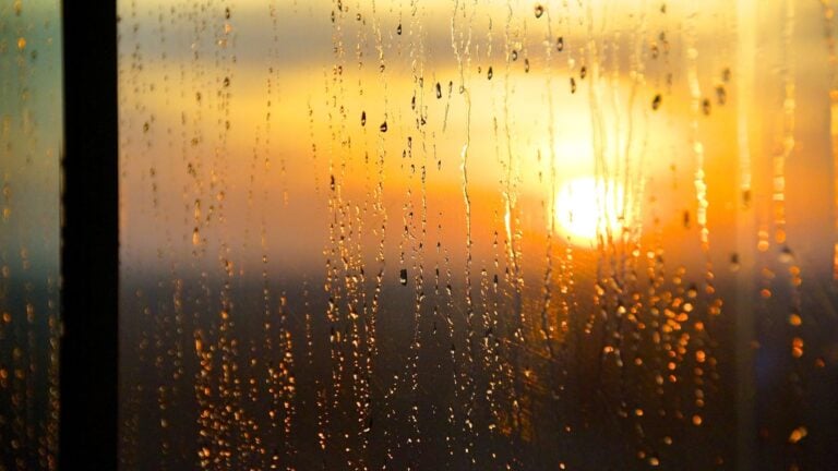 Índices de calor extremos y riesgo de lluvias fuertes con tronadas en la isla este martes