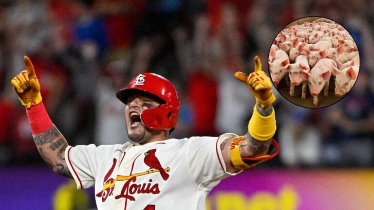 Escalan hacienda de Yadier Molina: se roban hasta los cerdos y propiedad valorada en $56,750