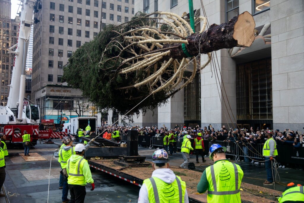 Llega al Rockefeller Center el emblemático árbol de Navidad que iluminará Nueva York
