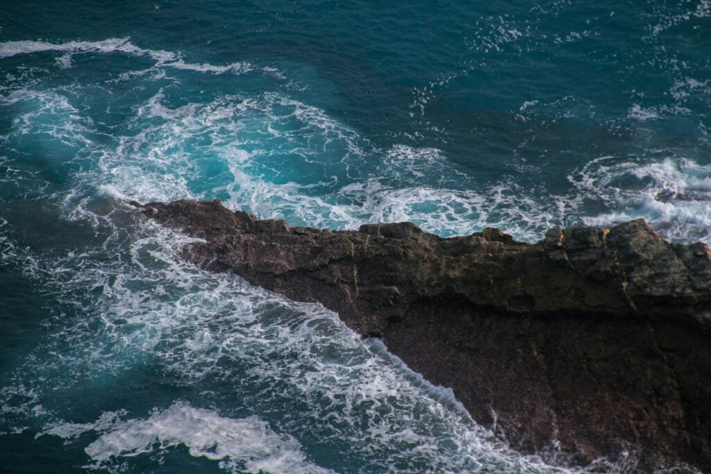 a bird sitting on a rock near the ocean