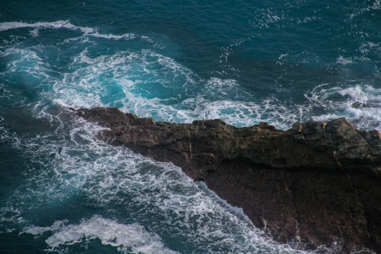 a bird sitting on a rock near the ocean