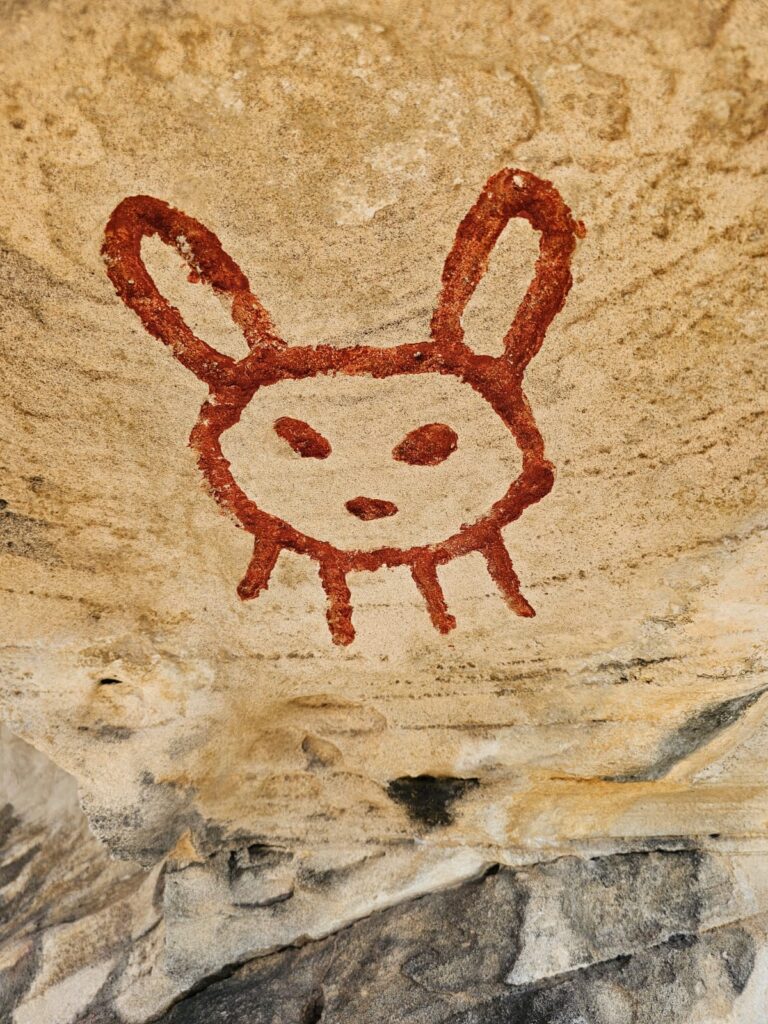 Denuncian vandalismo contra petroglifo ancestral en Cueva del Indio; organización exige protección oficial