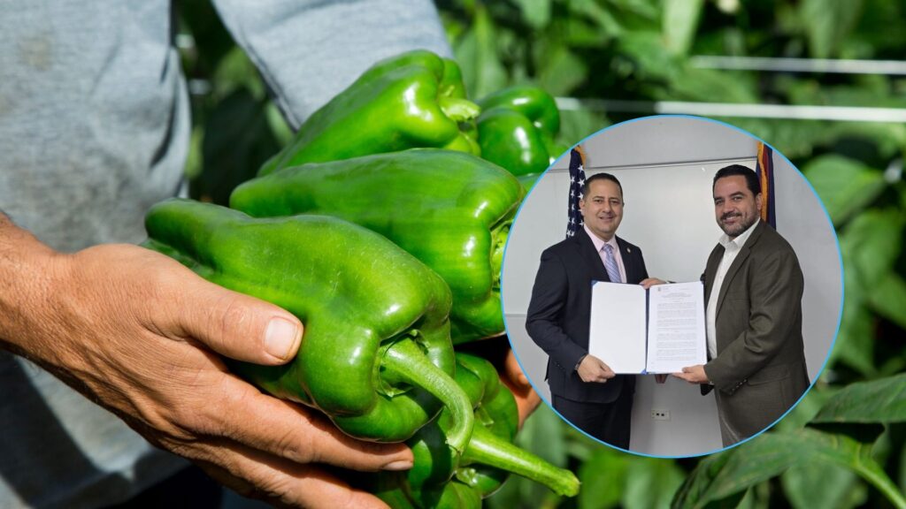Manos Pa’l Campo: capacitarán confinados para fortalecer la agricultura local
