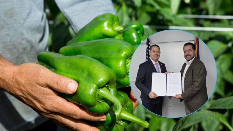 Manos Pa’l Campo: capacitarán confinados para fortalecer la agricultura local