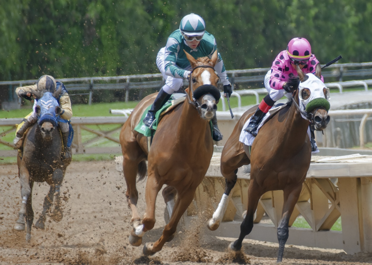 Comisión de Juegos activa investigación tras retiro de medicamento que afectó caballos en el hipódromo