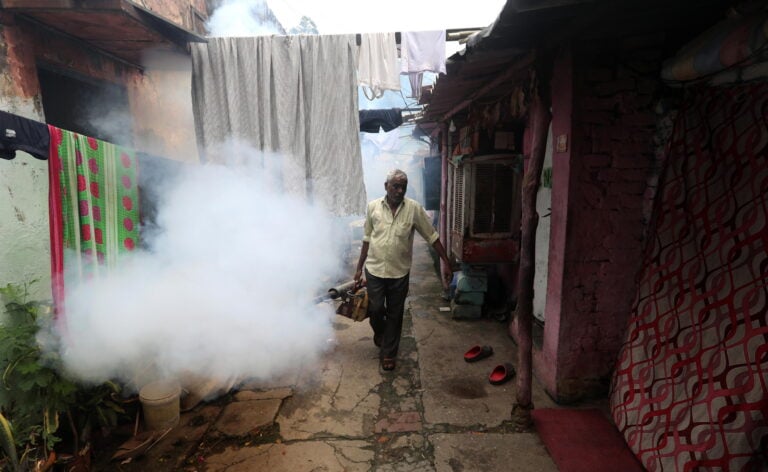 Cambio climático impulsó brote de dengue en Perú hasta 10 veces más de lo habitual, revela estudio