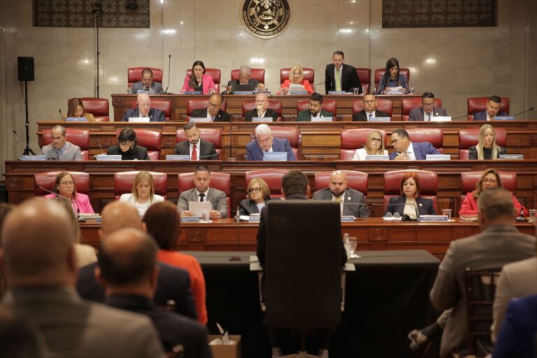 Domenech estalla en el Senado: “Esto es intimidación institucional”