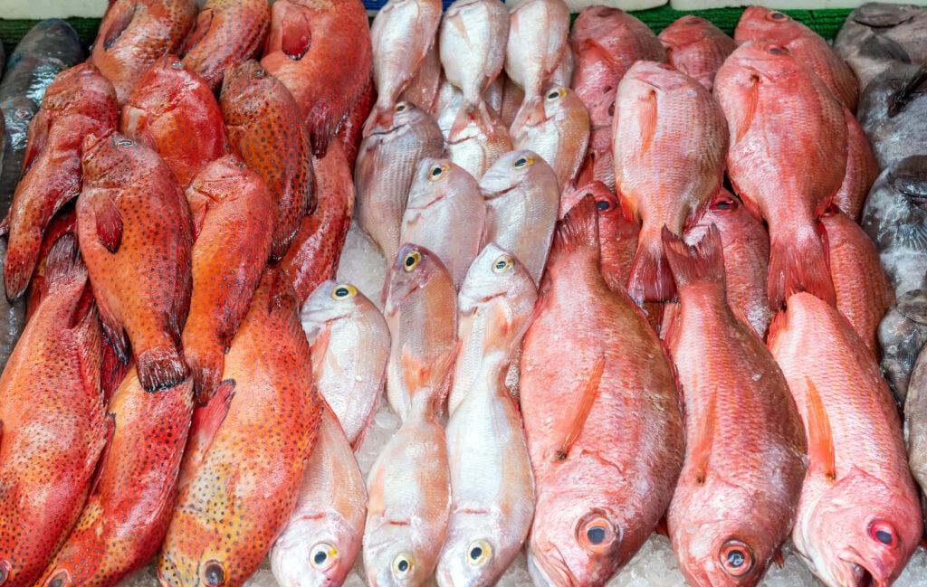 Agricultura lanza la “Ruta del Pescado” para impulsar consumo local en Cuaresma