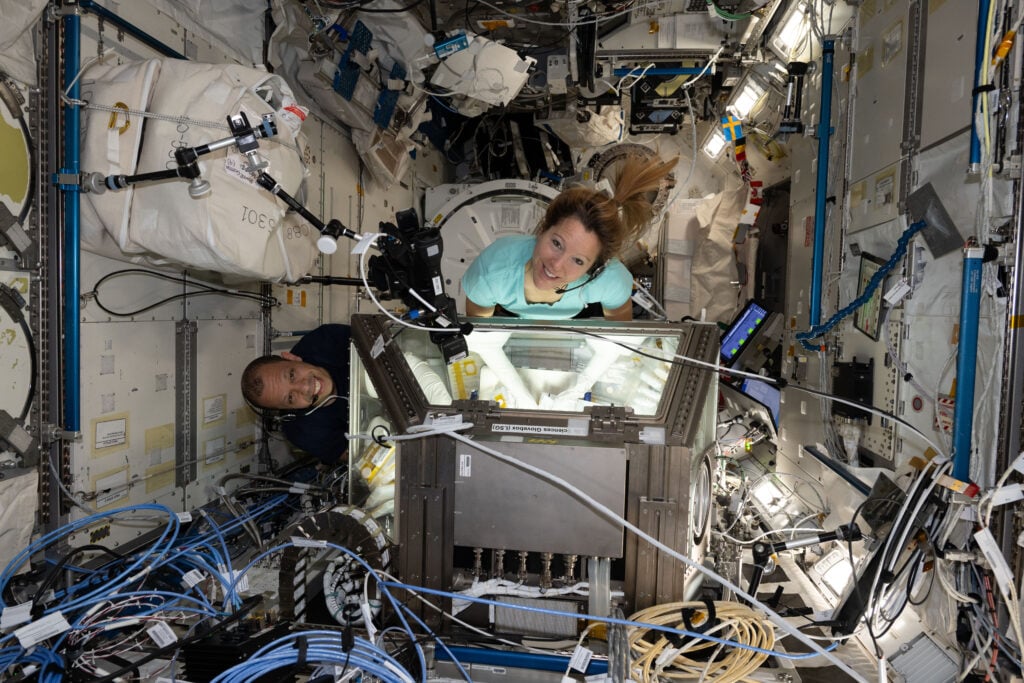 Estar en el espacio cambia tu cerebro… y el efecto se queda cuando regresas a la Tierra