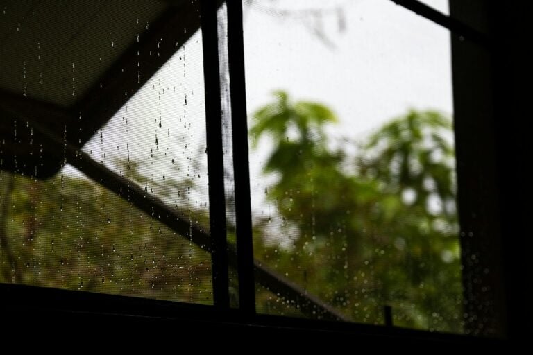 Raindrops stream down a window with greenery outside.