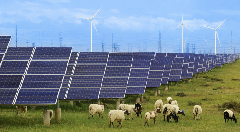 Mega planta solar en China combina energía limpia con agricultura y desarrollo local