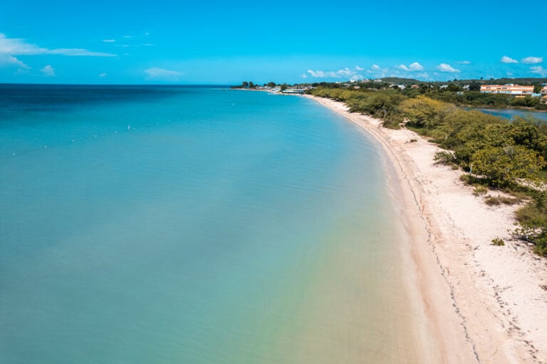 Creadores de contenido liderarán masiva limpieza de playas en Cabo Rojo