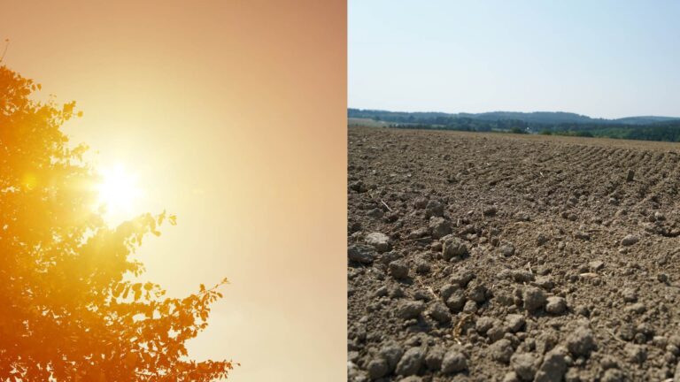 Calor extremo y vegetación seca mantienen elevado el riesgo de incendios en Puerto Rico