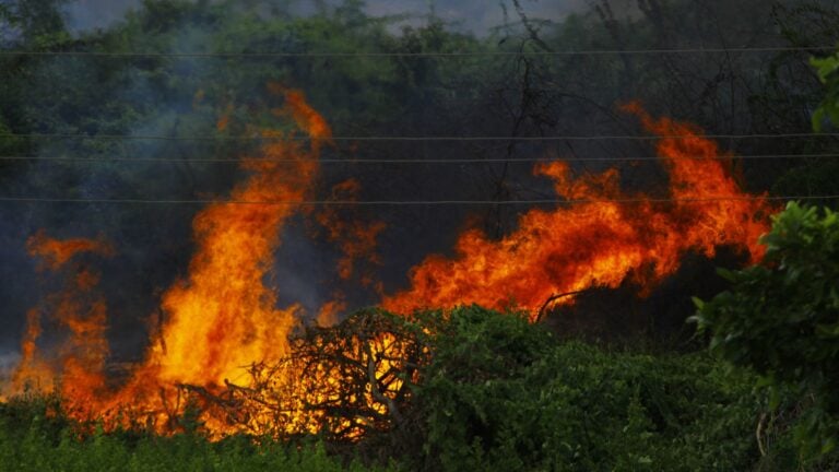 Altas temperaturas y vegetación seca mantienen alto el riesgo de incendios