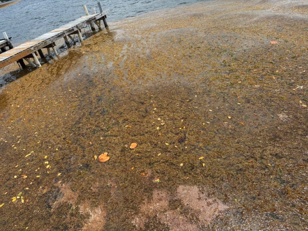 ¿Viajas a Culebra este verano? Esto es lo que está ocurriendo en Ensenada Honda