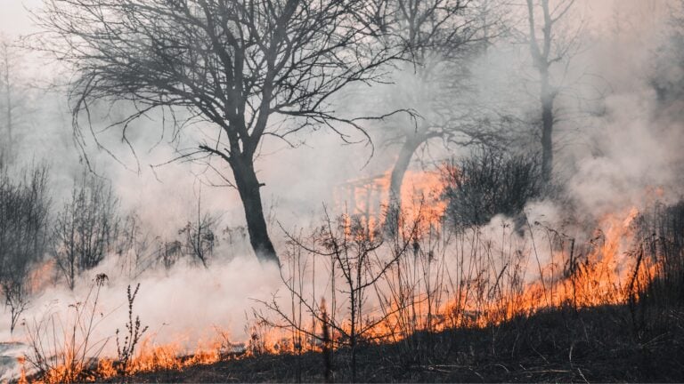 ¿Puede Puerto Rico enfrentar incendios como los de España? La sequía y el calor elevan el riesgo en la isla