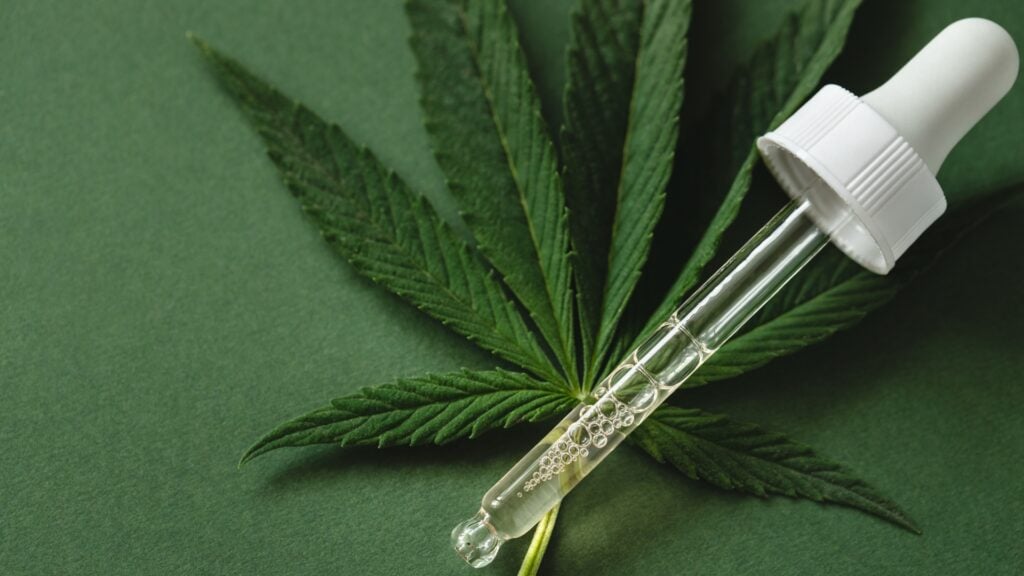 Bajo la lupa el cannabis medicinal: Senado realizará inspecciones en laboratorios y centros autorizados