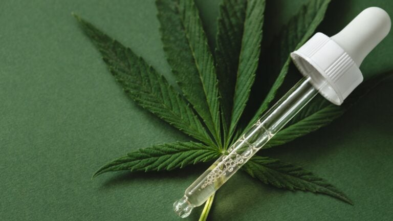 Bajo la lupa el cannabis medicinal: Senado realizará inspecciones en laboratorios y centros autorizados