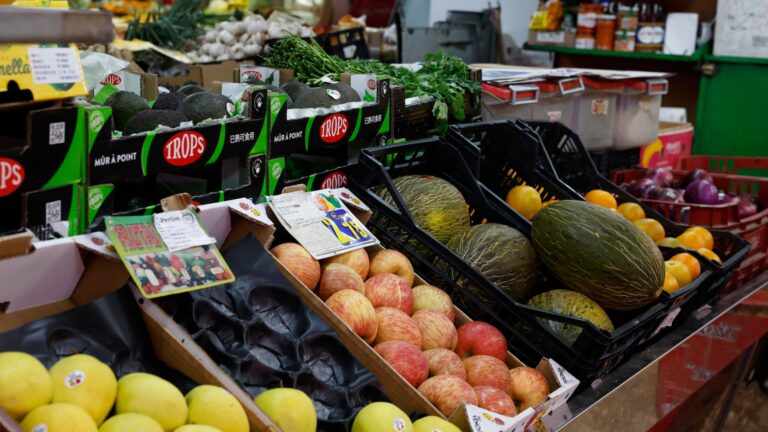 Expertos piden impulsar una mejor alimentación desde la infancia